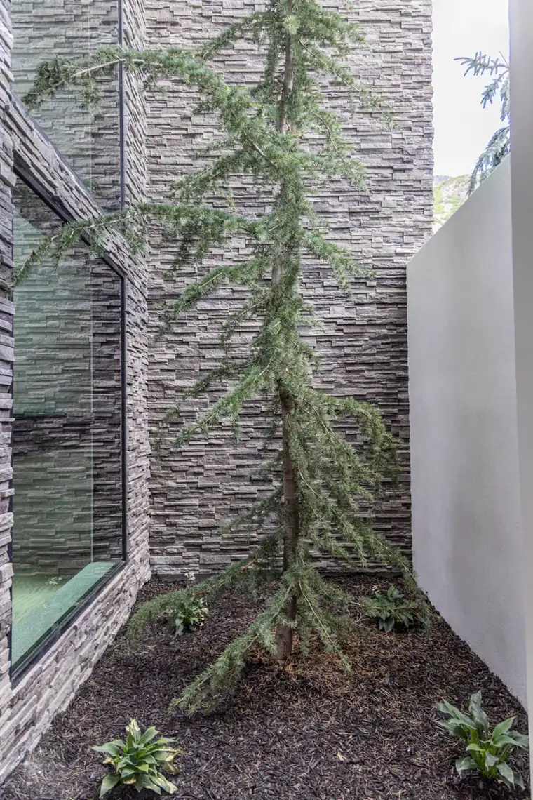 The Alpine Horizon by Raykon Construction